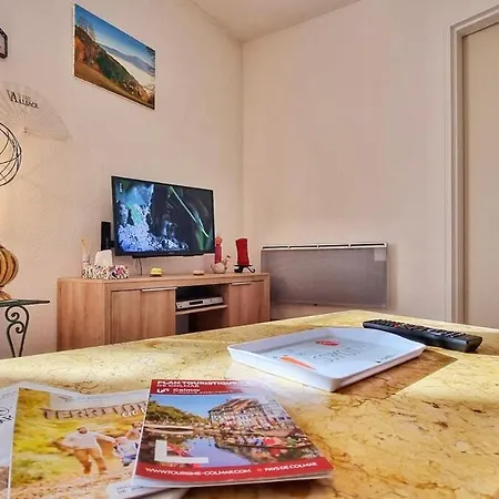Chez Coralie - T2, 2 Pers, Parking, Balcon Apartment Colmar