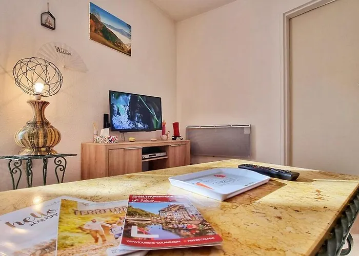 Chez Coralie - T2, 2 Pers, Parking, Balcon 公寓 科尔马